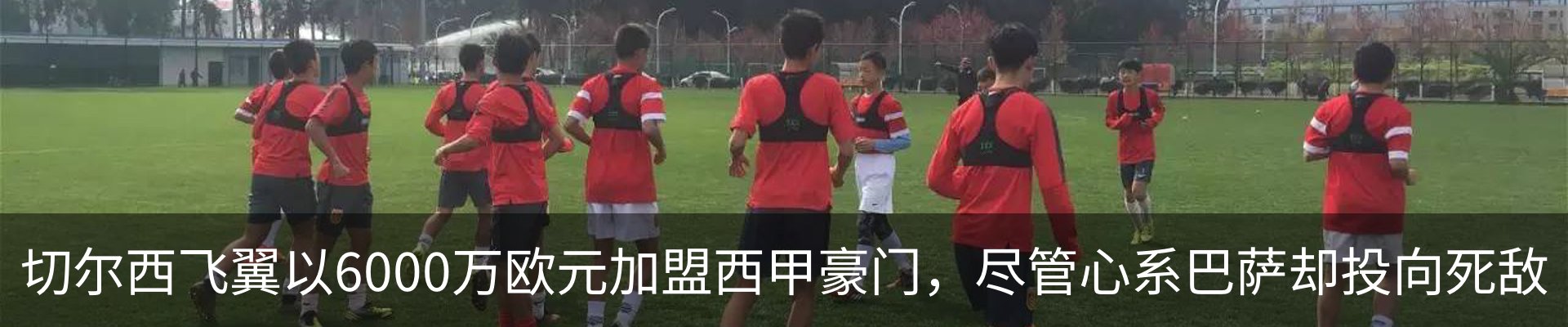 行业资讯