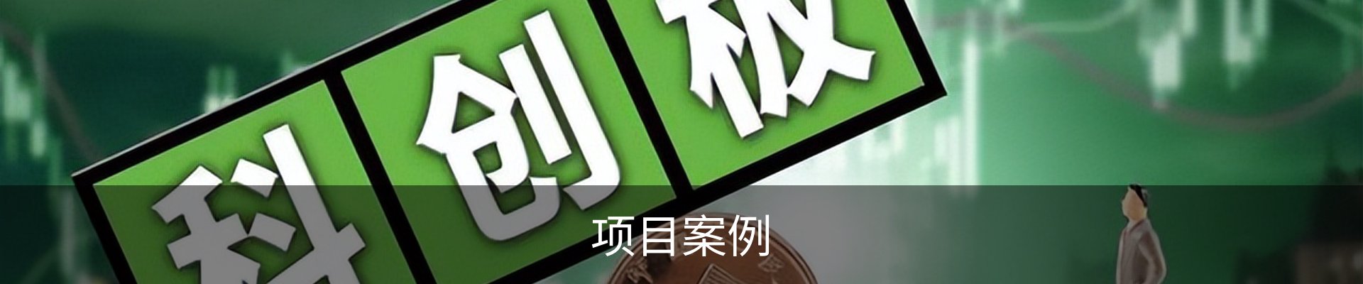 项目案例